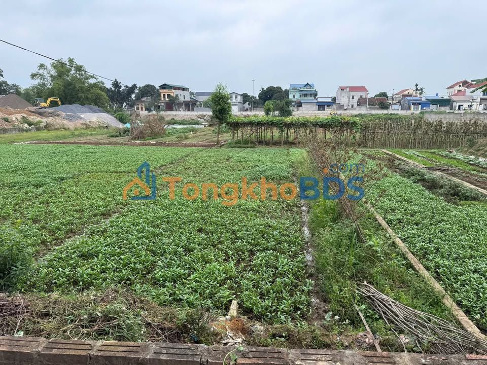 Đất nền Viêm Khê Hợp Tiến 183m² - Sổ đỏ chính chủ