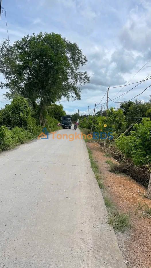 Đất vườn Bình Đức 1.040m² 700 triệu - Đường to ô tô