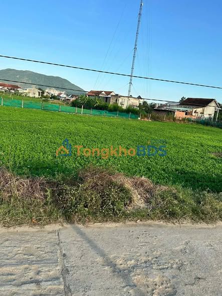 Đất nền Phong An Cát Trinh 180m² thỏa thuận - Giá tốt