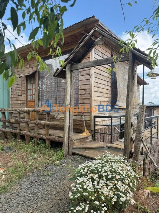 Bán đất thổ cư 184m² Đắk Pne, Kon Plông - Sổ hồng sẵn sàng