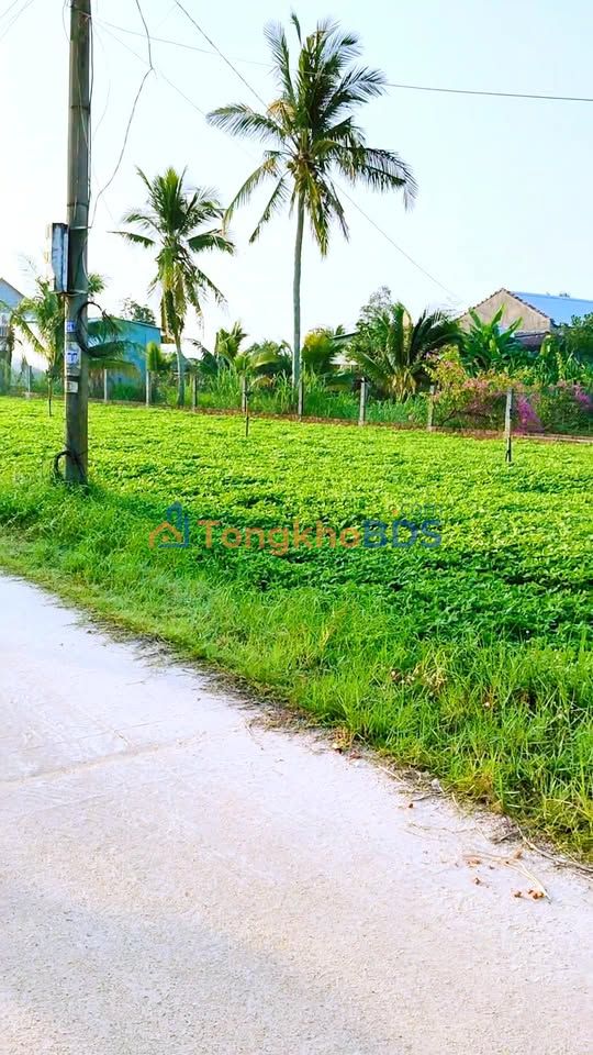 Đất nền Thôn Phú Kim 200m² 563 triệu - Tiềm năng tăng giá