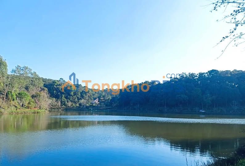 Đất Nền Măng Đen 350m² Full Thổ Cư - Lợi Thế Xây Homestay, Nghỉ Dưỡng