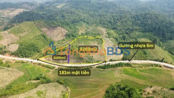 Bán Đất Măng Đen 12.434m² Mặt Tiền 180m - Tiềm Năng Nghỉ Dưỡng, Farmstay