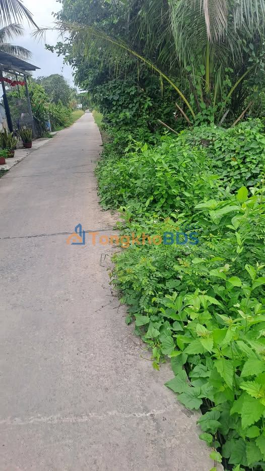 Đất thổ cư Ngọc Chúc 1440m² 43.2 tỷ - Sổ đỏ chuẩn