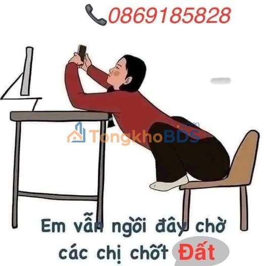 Đất nền Tuyên Quang 228m² - Vị trí đắc địa, tiềm năng sinh lời