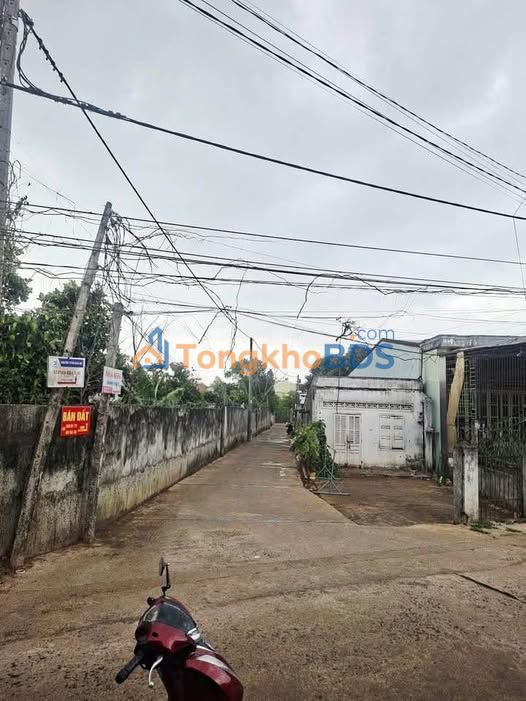 Đất nền Măng Đen 264m² 1.3 tỷ - Thổ cư trọn lô