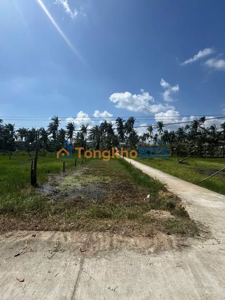 Đất nền Diêm Trường Xuân Lộc 250m² 0.65 tỷ - Đầu tư dài hạn