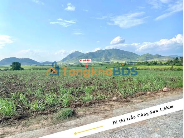 Đất Suối Bạc Sơn Hoà 3ha 1,1 tỷ - Tiềm năng tăng giá