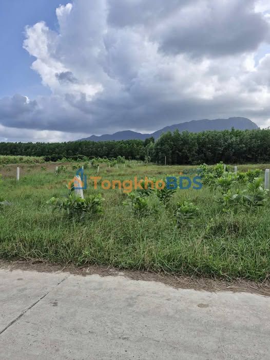 Đất nền Cam An Nam Cam Lâm 936m² 999 triệu Sổ đỏ chính chủ