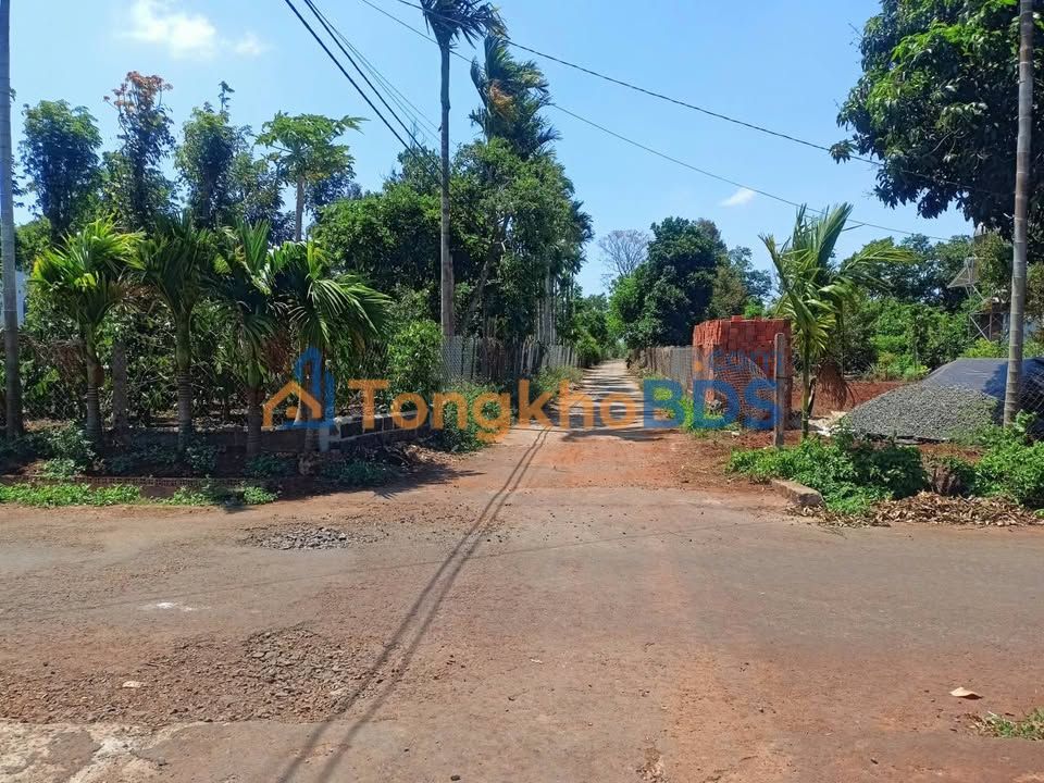 Đất nền Tân An Buôn Ma Thuột 155m² 600 triệu - Hạ tầng hoàn thiện