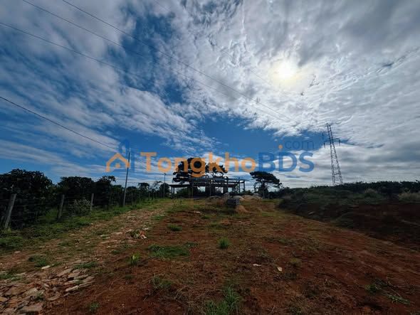 Đất nền Pleiku Trường Sa 140m² 490 triệu - Sổ đỏ chính chủ