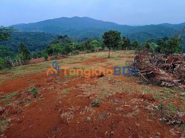 Đất Nền Măng Đen 720m² - Sổ Đỏ Sẵn Sàng, Giá Đầu Tư 7xx Triệu