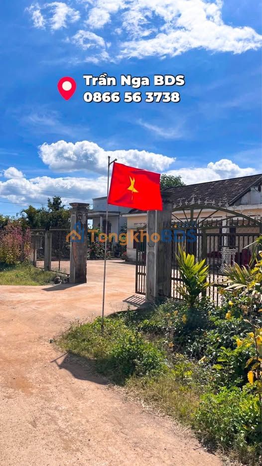 Đất nền Tân Hội Lâm Đồng 220-240m² 650 triệu - Sổ đỏ chính chủ