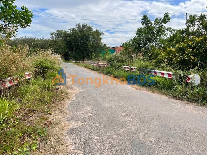 Đất nền Giồng Tre Tây Ninh 2115m² 1.6 tỷ - Sổ đỏ chính chủ