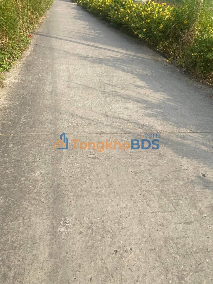 Đất vườn TL 932 Cần Thơ 15.000m² 4.2 tỷ - Sổ đỏ chính chủ