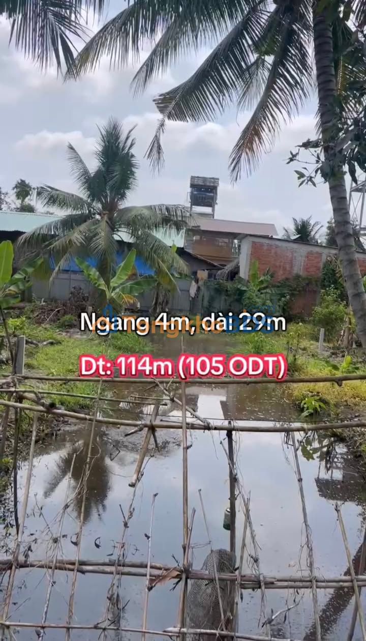 Đất nền An Bình Ninh Kiều 115m² 980 triệu - Tiềm năng tăng giá