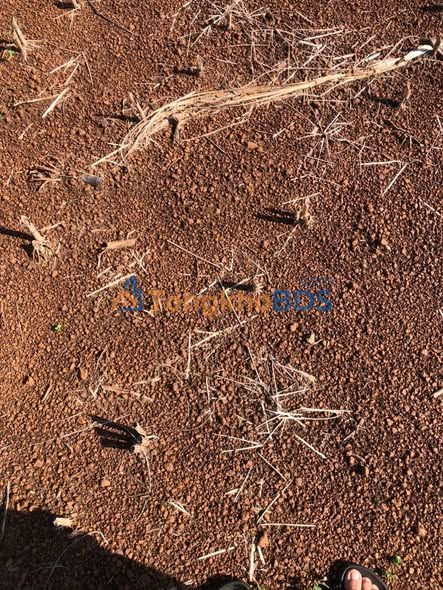 Đất nông nghiệp Bảo Bình 2.7ha 20-29 triệu - Pháp lý rõ ràng