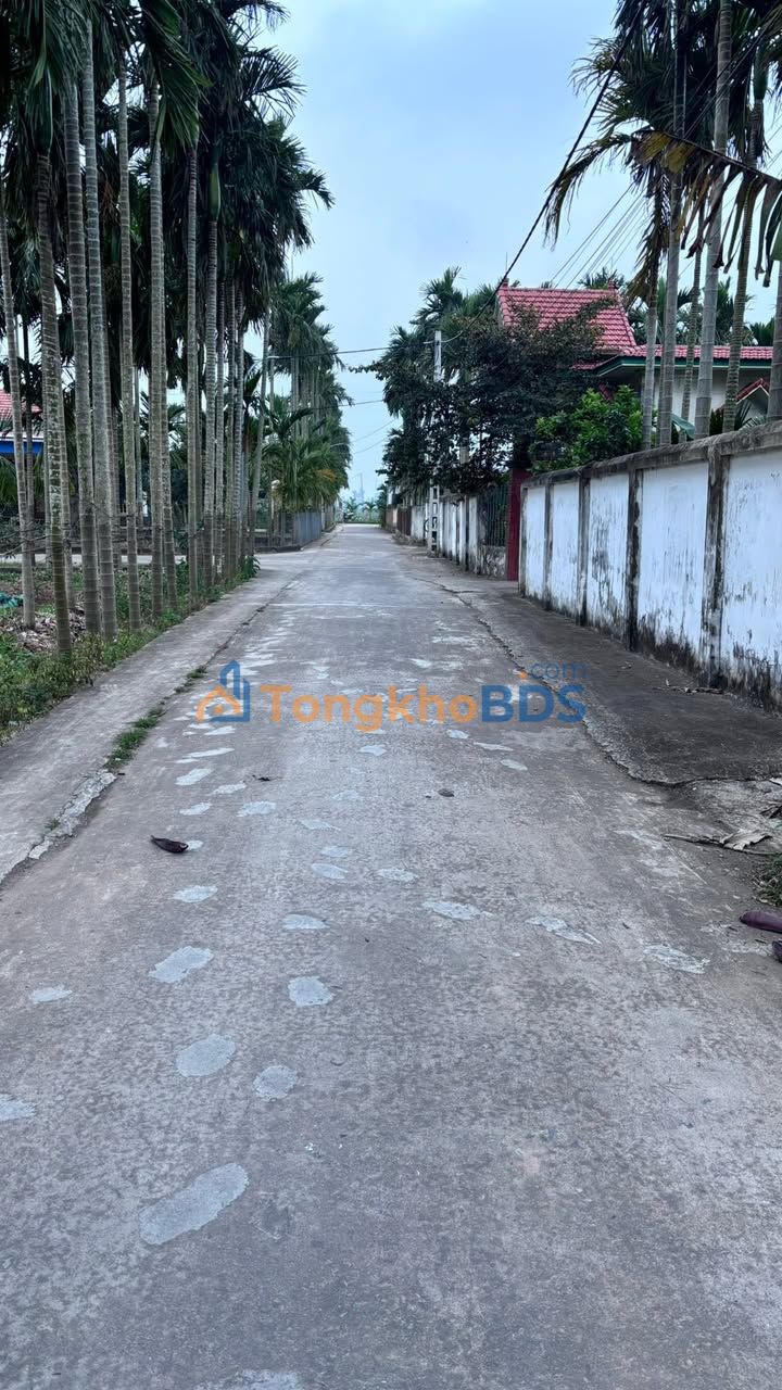 Đất nền Hải Giang, Hải Hậu 289m² 900 triệu - Sổ đỏ chính chủ