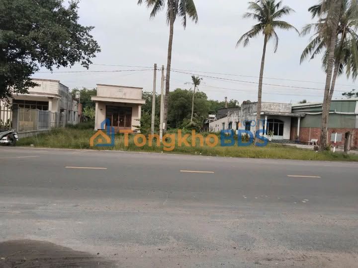 Đất nền QL22B Hiệp Tân 3.100m² giá thỏa thuận - Đường to ô tô