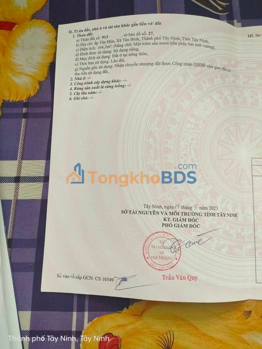 Đất nền Tân Bình Tây Ninh 175m² 420 triệu - Sổ đỏ chính chủ