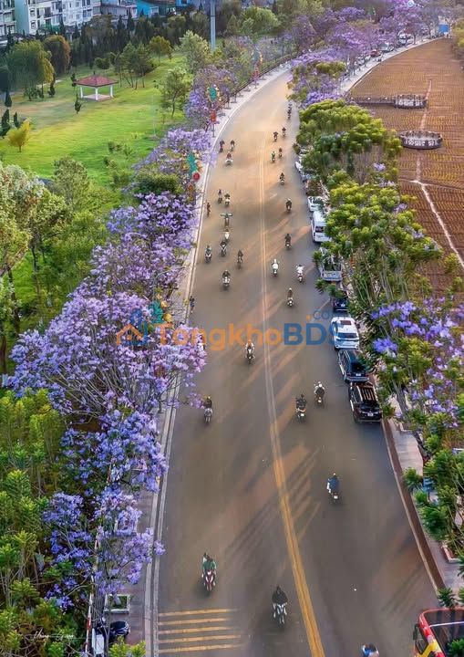 Nhà nguyên căn Phường 2 Đà Lạt 250m² 40tr - Sẵn sàng ở ngay