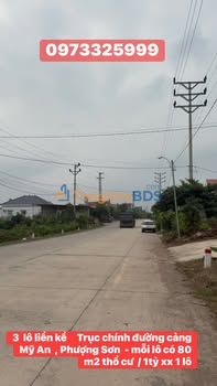 Đất nền Phường Phượng Sơn Chũ 601m² 1 tỷ - Đường to ô tô