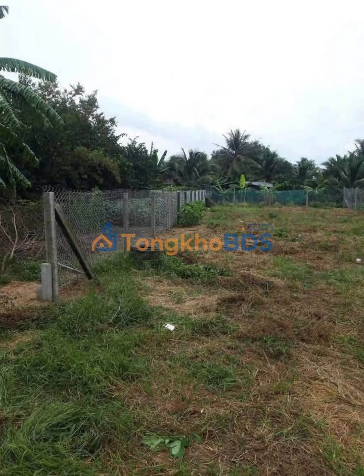 Đất thổ cư Bùi Tấn Tân An 224m² 1.45 tỷ - Sổ đỏ chính chủ