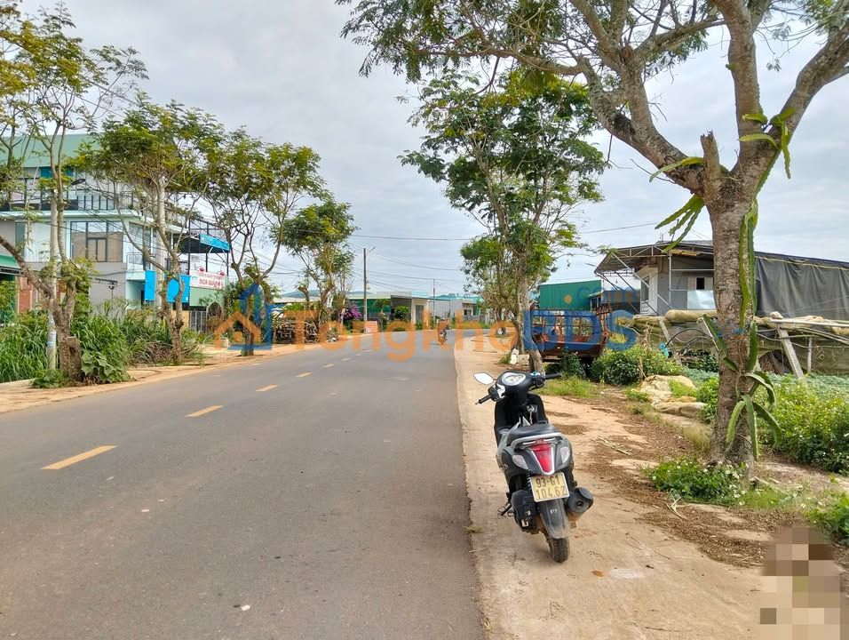 Đất Quảng Lập Đơn Dương 3.000m² 5 tỷ - Đường to ô tô