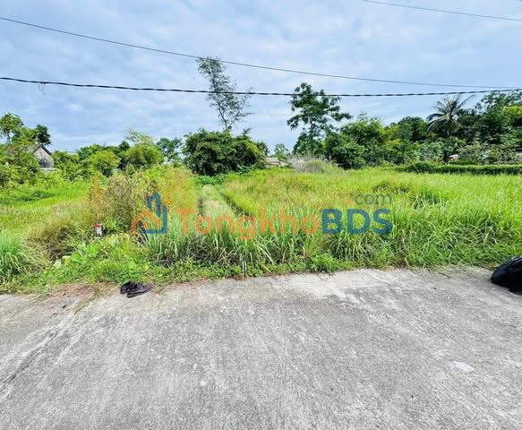 Đất nền Điền Hải Phong Điền 240m² - Sổ đỏ chính chủ