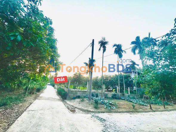 Đất Nền Hàng Thơm, Huế - 162m² Sổ Hồng, Giá Chỉ 199 Triệu