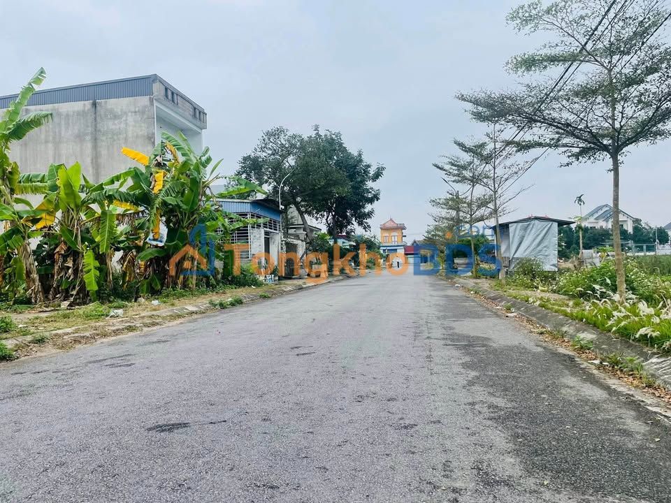 Đất nền Thanh Sơn (Kiến Thụy) 309m² sổ đỏ chính chủ