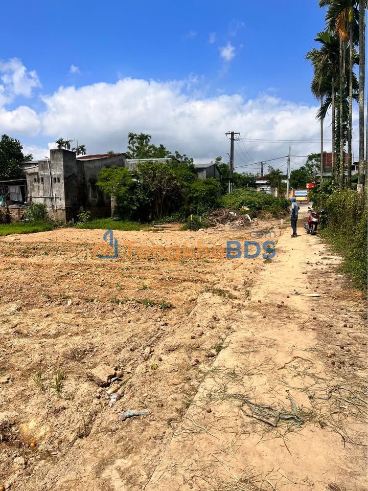 Đất nền Hòa Phước, Hòa Vang Đà Nẵng 384m² giá 1.2 tỷ - Sổ hồng chính chủ