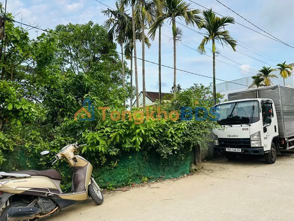 Đất nền Mỹ Thượng Phong Điền 145m²/1.45 tỷ - Sổ đỏ chính chủ