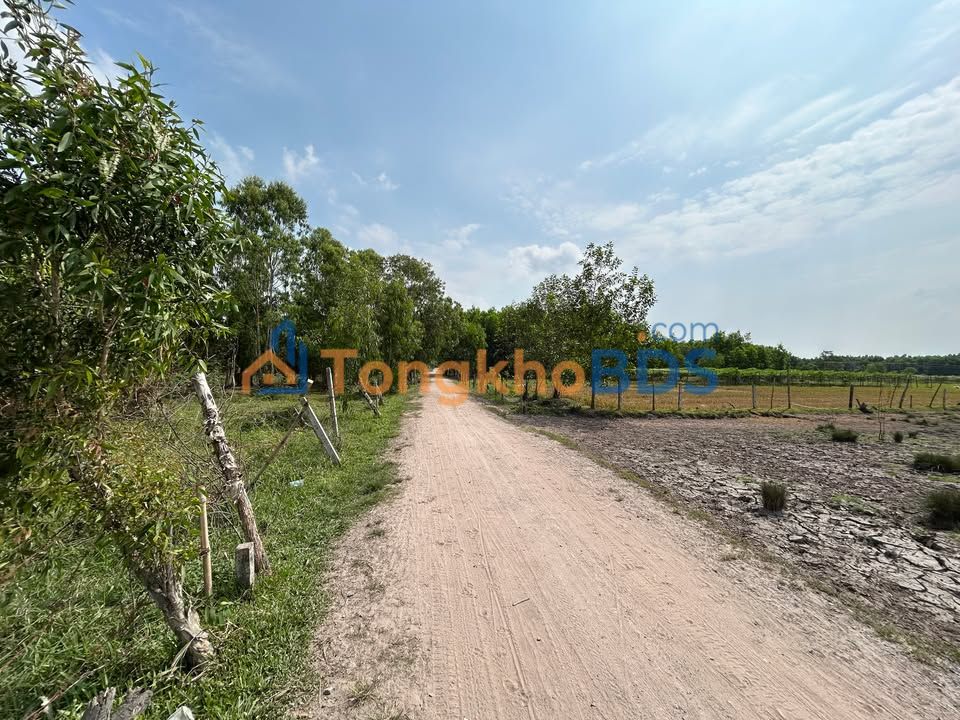 Đất nền 25C Nhơn Trạch 2.515m² - Sổ đỏ chính chủ