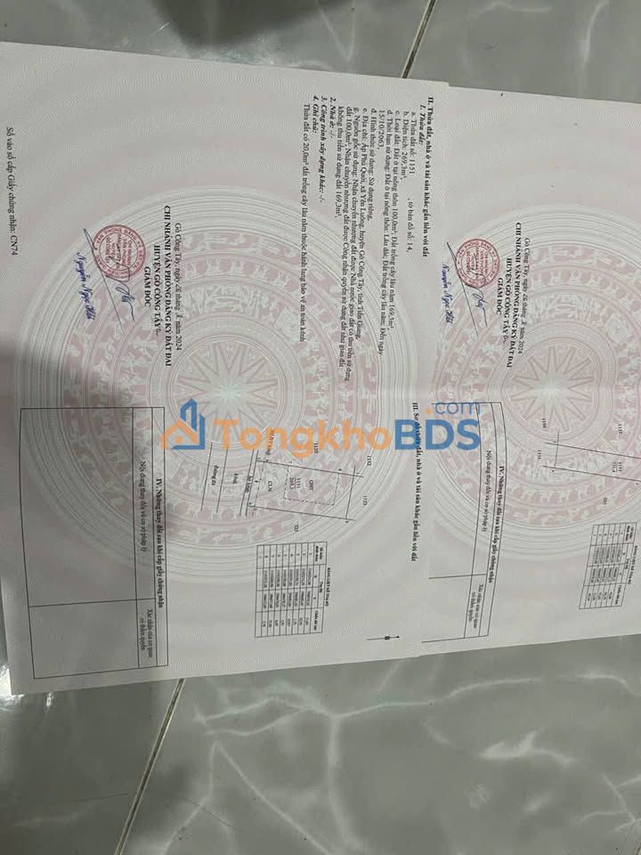 Đất Thạnh Trị Gò Công Tây 1000m² 650tr - Sổ đỏ chính chủ