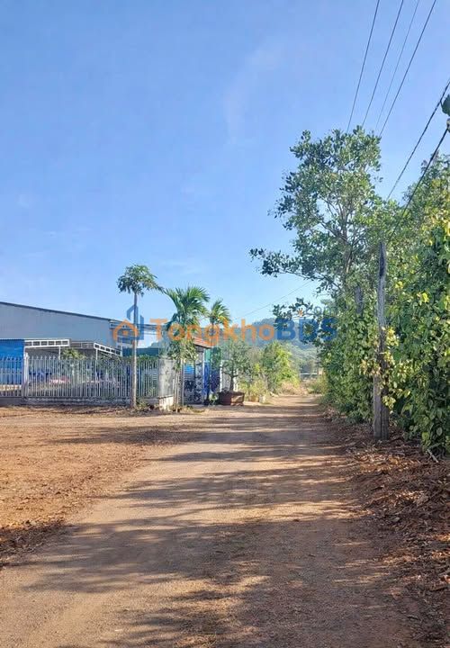 Đất thổ cư Thôn 8 Cưêbur 5x35 5,3 triệu/m² - Sổ đỏ sẵn, đường ô tô vào