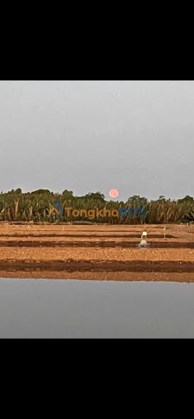 Farm 2.5ha Mặt Tiền Kênh Lớn Sóc Trăng - Dòng Tiền Ổn Định