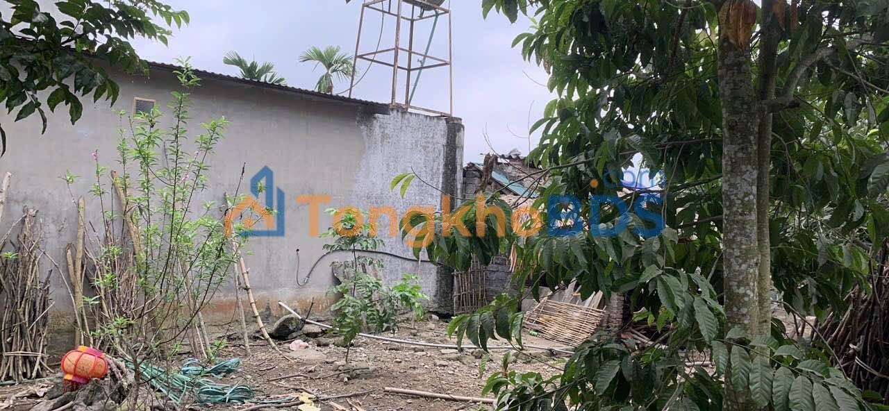 Dat nen An Tuong Tuyen Quang 140m2 1.85 ty - So do chinh chu