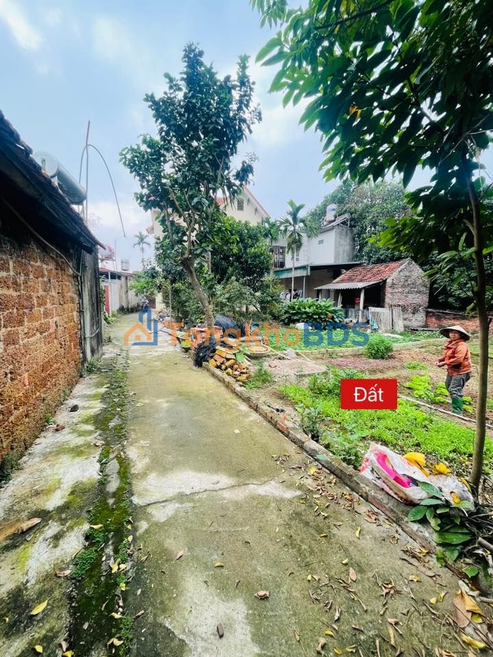 Đất Tích Lộc Phúc Thọ 90m2 1 tỷ - Xây dựng tự do