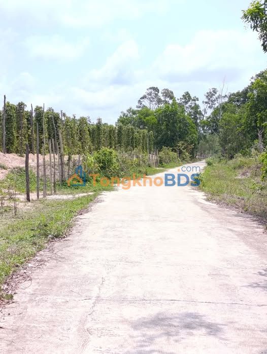 Đất nền Phú Quốc Suối Cát 4900m² giá 6.37 tỷ - Sổ đỏ chính chủ