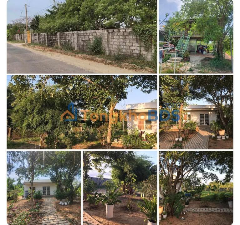 Nhà vườn Hàm Liêm 2.500m² 4,2 tỷ - Đầu tư dài hạn