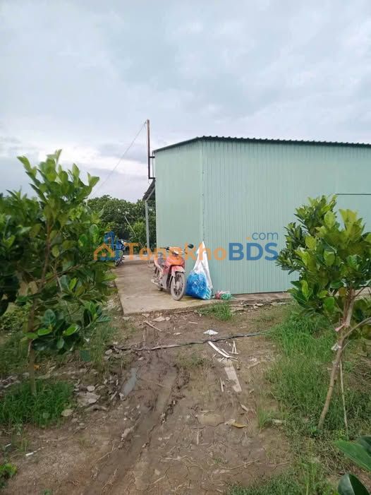 Đất Vườn Tiền Giang 1.6ha - Mặt Tiền 50m, Sổ Hồng Riêng, Giá Đầu Tư