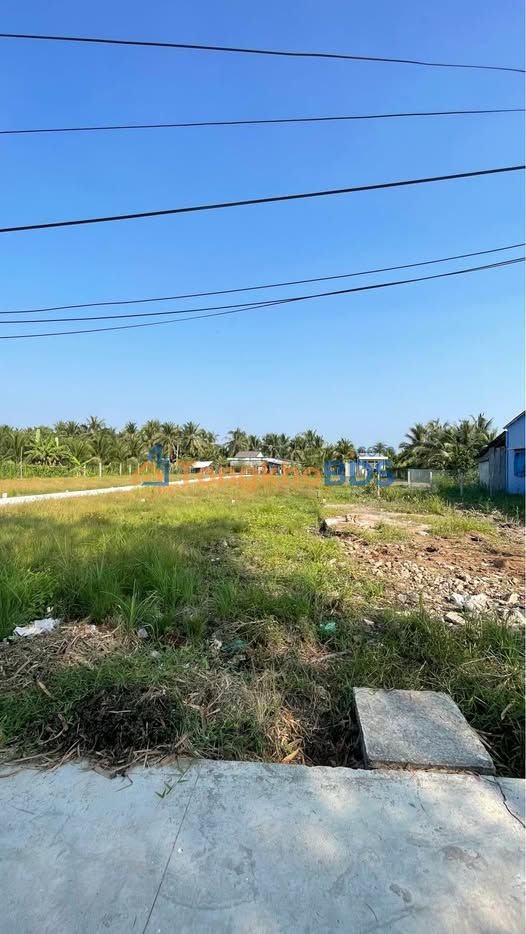 Đất nền Long Hoà B Cao Lãnh 65m² 0.8 tỷ - Pháp lý rõ ràng