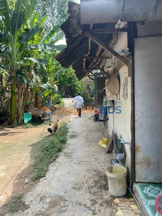 Nhà Cấp 4 59.7m² Hướng Bắc - Xã Hòa An, Cao Lãnh - Giá 550 Triệu