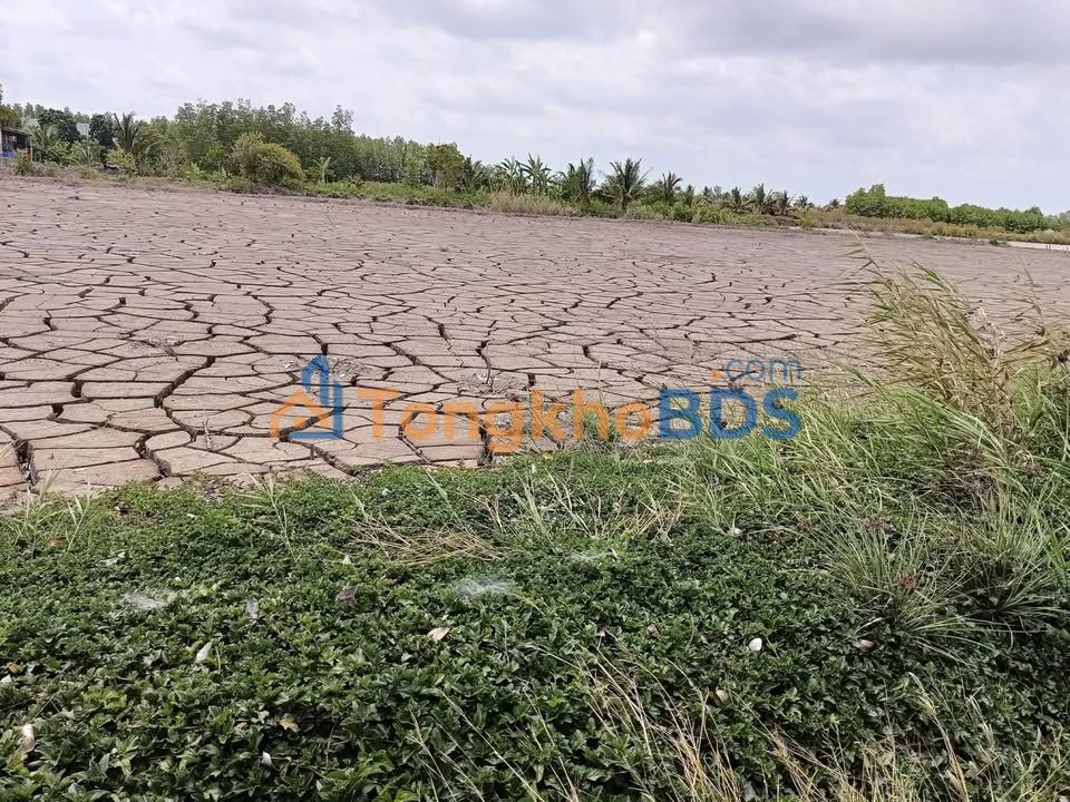 Đất nền xã Lâm Hải Năm Căn 7.5 tỷ - Sổ đỏ chính chủ