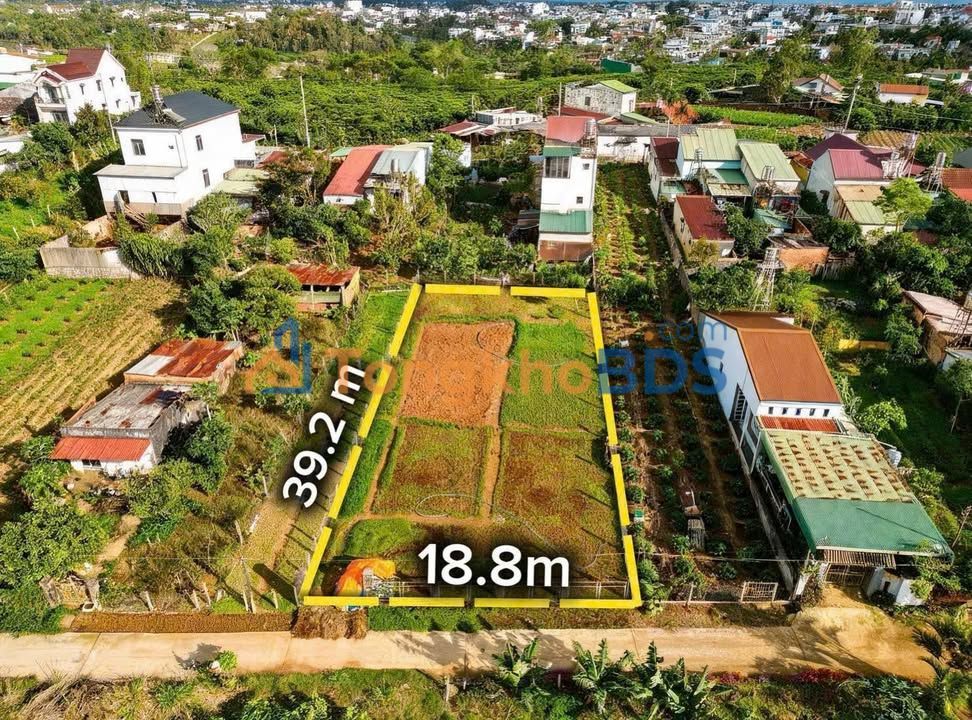 Đất nền Bảo Lộc Phường 2 733m² 3.95 tỷ - Sổ đỏ chính chủ