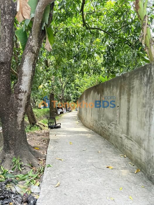 Đất vườn Phường 1 Cao Lãnh 500m² 800 triệu - An yên tĩnh