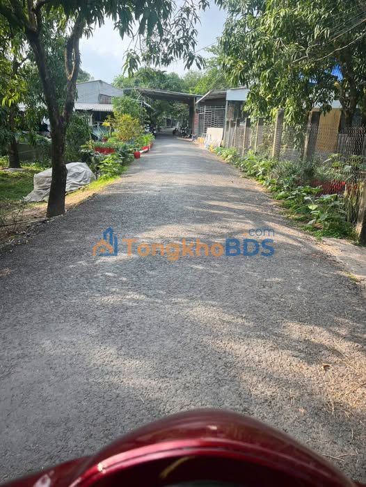 Đất nền Mỹ Hội Cái Bè 144m² 560 triệu - Sổ đỏ chính chủ