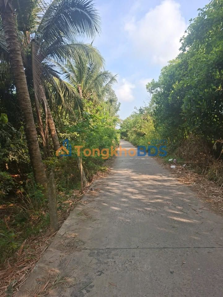 Đất vườn Hòa Bình Chợ Mới 1.814m² 0.55 tỷ - Đường to ô tô