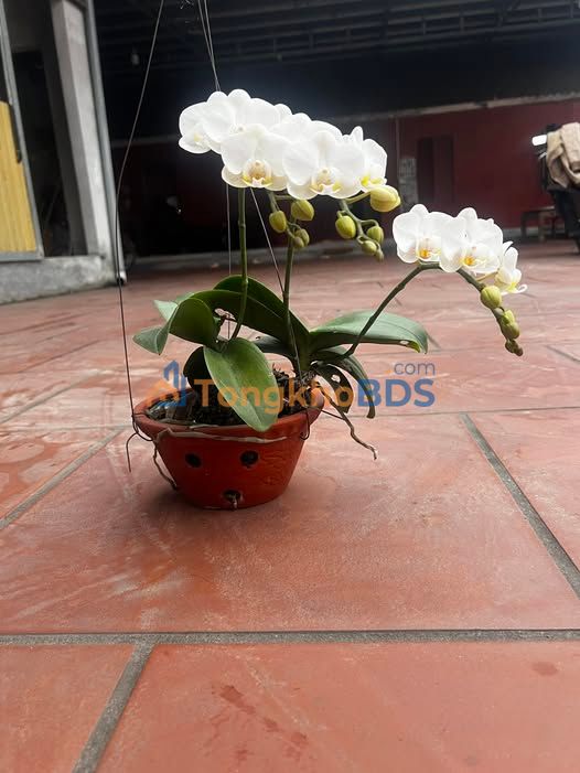 Đất nền Hiệp Hòa 225m² giá 2xxx tỷ - Đường ô tô lớn